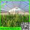 Agricultural plastic greenhouse film/anti sunheat reflective film/greenhouse cover film