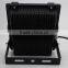 rechargeable bridgelux chip IP66 led flood light wholesale 10w 20w 30w 50w 80w 100w with CE RoHS