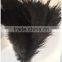 2016 hot sale cleaning car ostrich feather duster