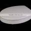 Ring Only Disabled Toilet Seat With S304 Stainless Steel Bar Hinge for Public Toilet