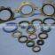 High Temperature Resistant Tc Viton Oil Seal