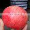 Qinguan Apples/Fresh Qinguan Apples/Delicious Qinguan Apples