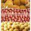 High performance & quality commercial seed oil press machine