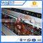 Factory 4 tier 120 capacity chicken layer cage for poultry in dubai