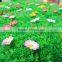 Quality professional artificial grass dog mat