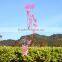 beautiful butterfly wind chime