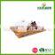 Factory price glass cheese dome with bamboo board set, cheese dome with knife wholesae
