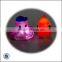 Water Floating Animal Light