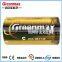 LR14 C 1.5V Alkaline Battery