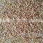 chinese white/yellow sesame seeds