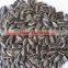 dried sunflower seeds sunflower seeds turkey