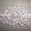 Large White Kidney Bean Wholesales Price