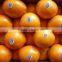 top grade navel orange