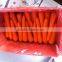 Hot Sale Small Size Fresh Carrot