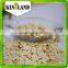 Kingland shine skin pumpkin seed 10cm 11cm 11mm