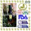 Flavored Tunisian Olive Oil with Lemon. Premium Quality Olive Oil. 100% Olive Oil with Lemon in Glass Bottle 250 ml.