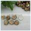 Mini Size Xianggu Mushroom Spawn, Organic Shiitake Mushroom Spawn