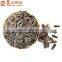 Good Quality sunflower seeds 3939 of Market Price