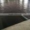 Impermeable 1MM HDPE Pond Liner Philippines