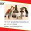 High quality steel forging/ Forged steel parts