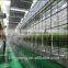 Venlo Tempered Glass/float Glass Greenhouse With Hydroponic Growing