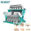 New Arrival Machine Optical Color Sorter/Vegetable Color Sorting Machine