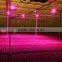 High Power 18W Cob LED Grow Light From Shenzhen Factory