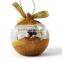 Clear glass material christmas decoration ball