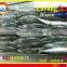 FROZEN LAYANG SCAD (MUROAJI) WHOLE ROUND