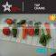 900 B-2 series packing machine plastic chain conveyor belt for food