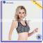 Factory Wholesale Sexy Seamless Gym Bra Top Womens Padded Sports Bra