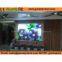 Indoor full color LED video wall