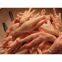 Approved Halal Frozen chicken feet