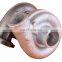 Turbochargers S1B 317959 OE No 04272467KZ for 1999-2002 Deutz KHD