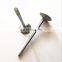 motorsports spare parts performance gold titanium engine valves for tekken 250 pakistan