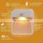 Motion sensor light, cordless battery powered LED night light, stair magnet wall light