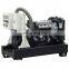 Strong Quality 15 kw 15000 watt Alternator Generator Genset