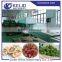 New Product Industrial Fruit and Vegetable Dehydrators