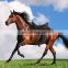 American Spanish Arabian Endurance Used Western Dressage Racing Riding Horse Saddle