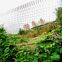 Wholesale Bird Netting /Vineyard Bird Netting Deer Fence Netting 7x100Feet Bird Netting Bird net