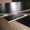 cheap price film faced plywood  1220*2440*16mm from China