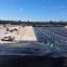 Geomembrane