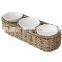 3 Bowl Serving Platter and Tray, Chip and Dip Set with 3 Dip Condiment Bowls for home display Vietnam Supplier