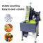 Particle packaging machine counting packaging machine