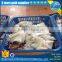 Frozen Cleaned Giant Squid Neck Daruma squid low price