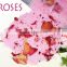 Organic Rose bath salt spa with rose petals & essential oils bath salt packaging custom brand