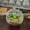 Hanging Round Artificial Succulent Plant Terrarium Glass