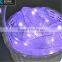 Ribbon Fairy Lights Led Copper Silver Wire String Light with Battery Box