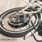 20 Inch 1000w Foldable Cruise Electric Bicycle Electric Bike for Young Children(Model SMT500F)