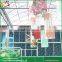 P96VT540 Venlo roof type PC greenhouse small polycarbonate greenhouse